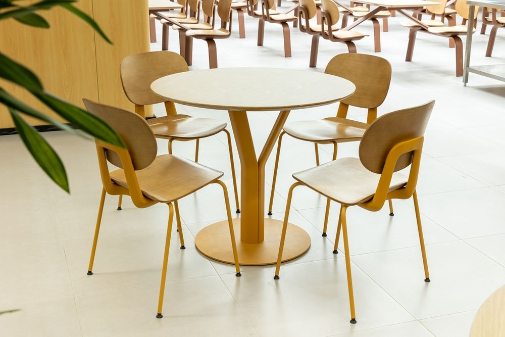 深圳市坪山區未來學校